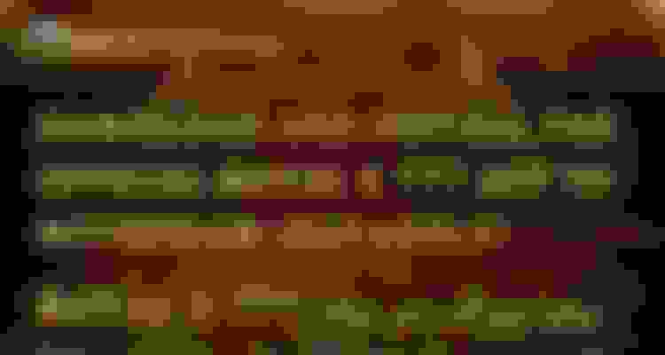 bg-0